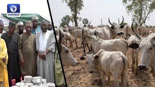 Adamawa State Collaborates With WB For Livestock Production