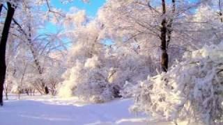 Russian Winter Forest/ P.I.Tchaikovsky