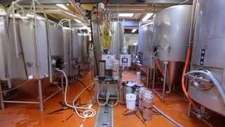 Let Sixpoint's Mad Scientists Show You How to Invent a Brand New Beer