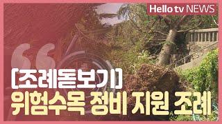 [조례돋보기]중구 위험한 수목 정비 지원 조례