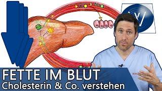 Blutfettwerte: Schon gewusst? Darauf sollten Sie bei Cholesterin, HDL, Triglyzeride & Co achten!