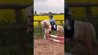 The littlest pony jumping ever! #horse #showjumping #horselover #pony #horseriding #equestrian