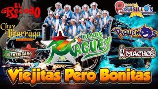 Tecno Bandas Mejor Musica  Banda Machos, Banda Maguey, Banda cuisillos, Banda El Recodo,...