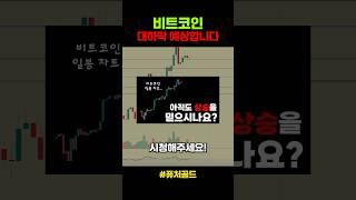 일봉 차트 상태가 이상함..