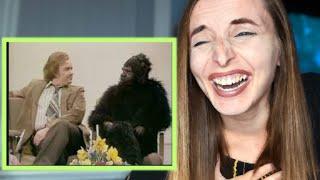 CANADIAN REACTS TO NOT THE 9 O'CLOCK NEWS! |  Gerald The Gorilla!