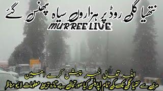 Murree live today weather news Murree to Nathiagali road condition  snowfall2024 murree today live