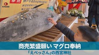 商売繁盛願い、マグロ奉納 「えべっさん」の西宮神社