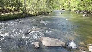 10.26 Owner Financed acres with River Frontage in West Virginia!