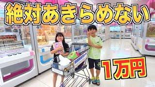 【兄妹で1万円チャレンジ 】諦めなければ絶対取れる戦い！