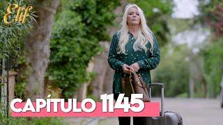 Elif Quinta Temporada Capítulo 1145 | Elif Capítulo 1145