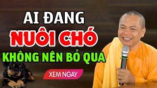 Những Ai NUÔI CHÓ Nhất Định Phải Biết Những Điều Quan Trọng Này -  Thầy Thích Minh Đạo