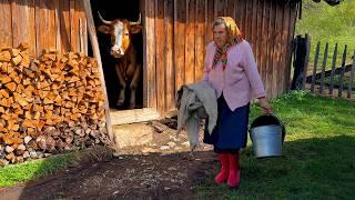 Hard Life in the Village: Elderly Couples Living Far from Civilization