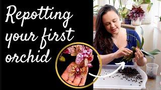 How to repot your first orchid | After blooming care | Mix and tools I use