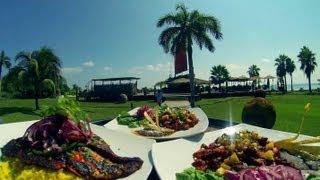 Cancun's Best Food