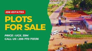 Prime Plots for Sale at Busukuma Estate | 1 km Off Gayaza Road | 256 Estates Uganda