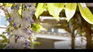Retirement Security - Overview