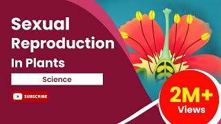 Sexual Reproduction In Flowering Plants