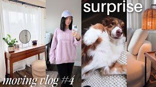 surprise! adoption story, makeup organization + vanity setup, new furniture  MOVING VLOG ep 4