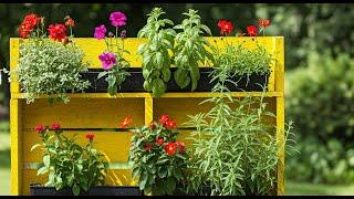 DIY Pallet Garden: Vertical Gardening on a Budget