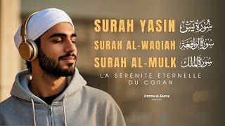 The Heart Touching Voice of Coran, sourates Yasin, Waqiah et Al-Mulk