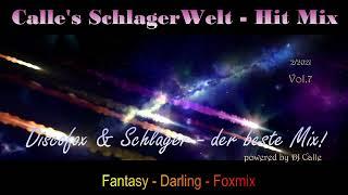 Discofox & Schlager Raketen - der beste Mix by DJ Calle  - Vol.7