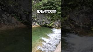 덕산기계곡트레킹#계곡추천 #정선계곡 #덕산기계곡트레킹