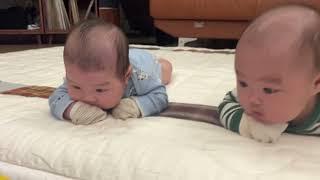 터미타임하는 쭈니후니
