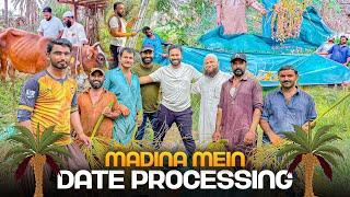 Exploring Date Processing in Madina  | A Cow’s Kick & Delicious Desi Feast 