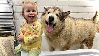 My Giant Sulking Dog Hates Bath Time But Baby Helps! (CUTEST EVER!!)