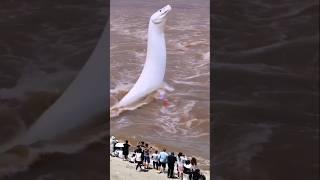 warga panik saat melihat ular putih keluar dari bawah sungai