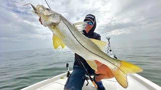 PESCANDO ROBALOS GIGANTES COM UM RISCO FATAL