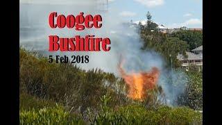 Dramatic Bush Fire at Coogee Gordons Bay Headland 5 Feb 2018