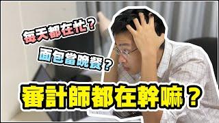 審計師都在做什麼？ What does an auditor do? [English subtitle in CC]