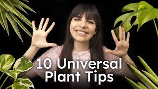 10 Universal Plant Tips that Will Work on Any Houseplant