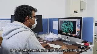 Tokyo Tech WRHI Satellite Lab Video  　 Innovative Synthetic Biology hub group