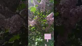 #жизнь #наставление #мудрость #цитатыосмысле #цитатыпрожизнь