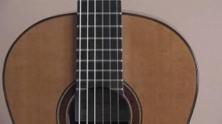 Thames cedar/E. Indian guitar,  Raphael Andia playing Manuel de Falla