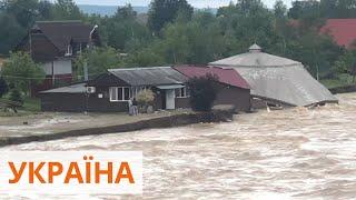 Из-за ливней в Ивано-Франковской области были затоплены дома и собачий приют