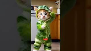 Cute Cabbage Cat Perfect Dance In Song  #cat #dance #shorts