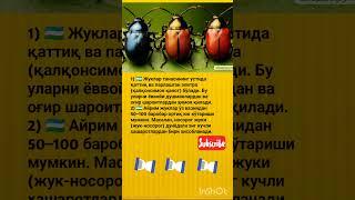 Buni ANIQ Bilarmidiz  3 Ta #shorts #tiktok #reels #shortvideo