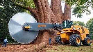 Dangerous Powerful Chainsaw Cutting Tree Machines | Biggest Heavy Equipment Machines Working