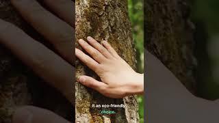 Did you know about wood?