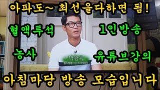 대구 KBS 아침마당에 출연해서 방송한 청도달콤한농장 모습입니다
