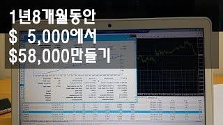 시스템트레이딩1년8개월동안 $5,000에서 $58,000만들기