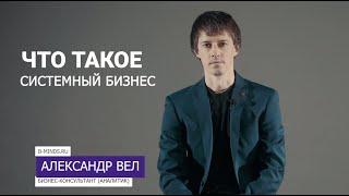 Что такое системный бизнес | Александр Великолуг