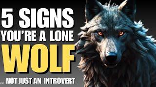 5 SIGNS YOU HAVE A LONE WOLF PERSONALITY, NOT JUST AN INTROVERT