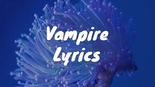 Vampire - Olivia Rodrigo (Lyrics)
