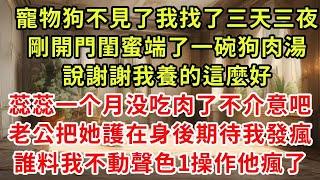 寵物狗不見了我找了三天三夜，剛開門閨蜜端了一碗狗肉湯，說謝謝我養的這麼好，蕊蕊一个月没吃肉了不介意吧，老公把她護在身後期待我發瘋，誰料下一秒我一句話他卻瘋了#小説#爽文#復仇