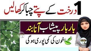 Golden Words in urdu|Top islamic quotes|Urdu Quotes|Best Quotes|Islamic urdu quotes