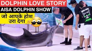 Dubai Dolphinarium Show Time | Dolphin & Seal Performance | Dubai Vlog